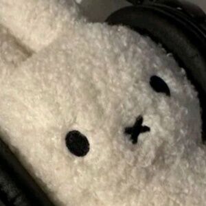 Meet your Posher, Bri